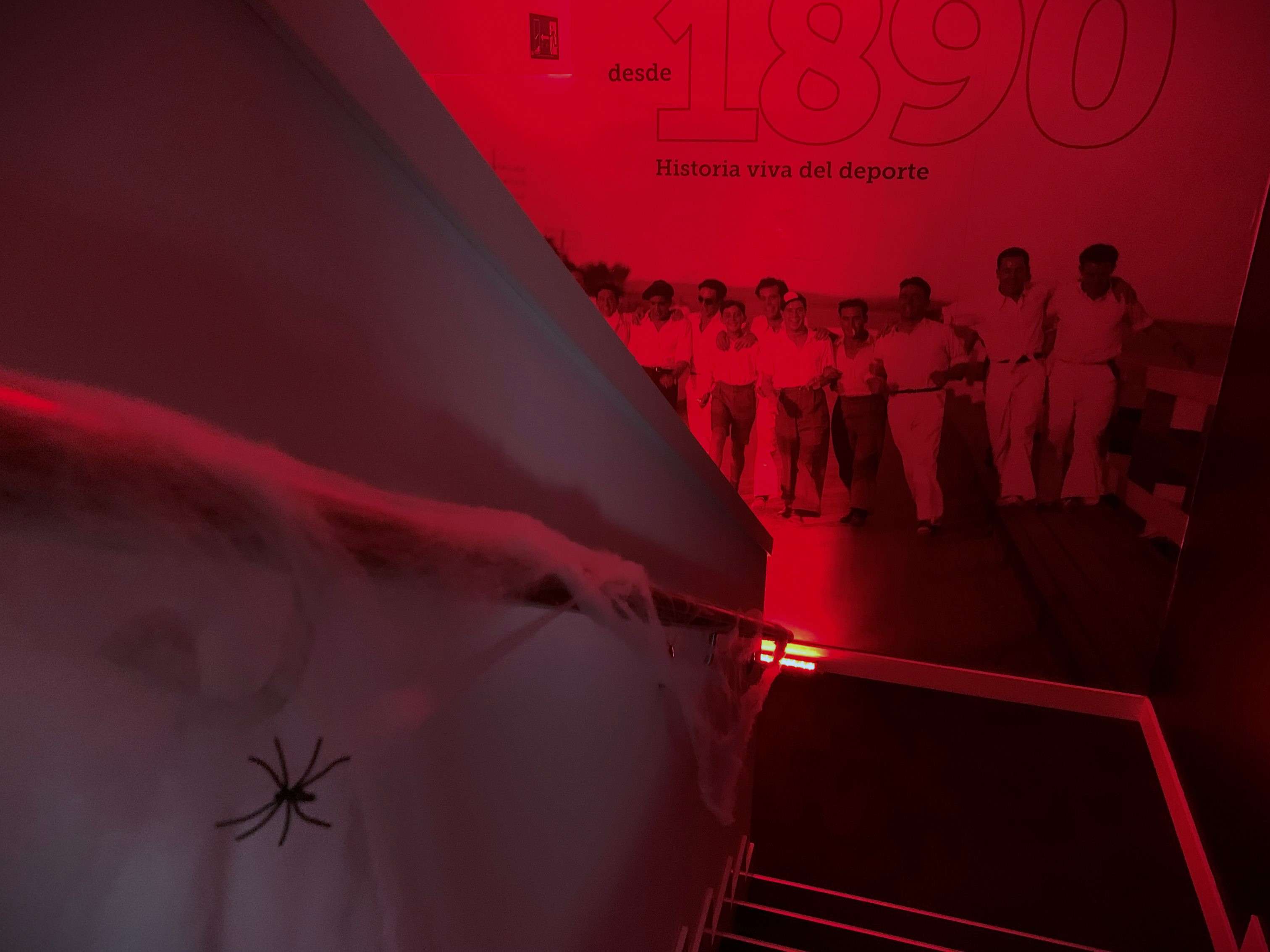 Halloween204